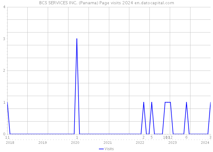 BCS SERVICES INC. (Panama) Page visits 2024 