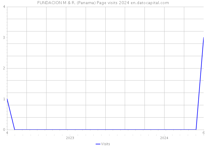 FUNDACION M & R. (Panama) Page visits 2024 