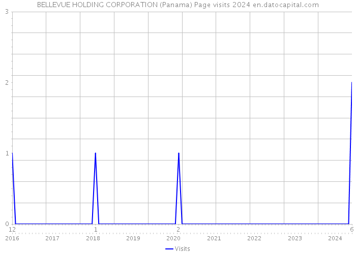 BELLEVUE HOLDING CORPORATION (Panama) Page visits 2024 