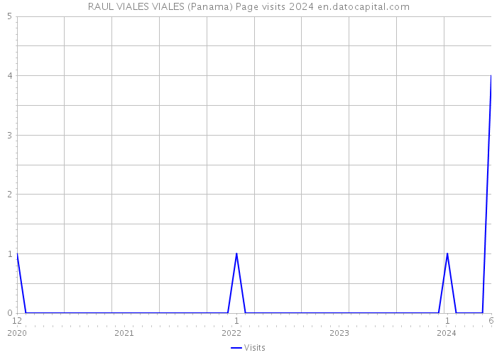 RAUL VIALES VIALES (Panama) Page visits 2024 