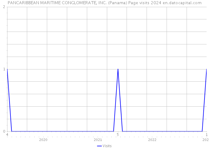 PANCARIBBEAN MARITIME CONGLOMERATE, INC. (Panama) Page visits 2024 