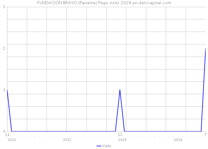 FUNDACION BRAVO (Panama) Page visits 2024 