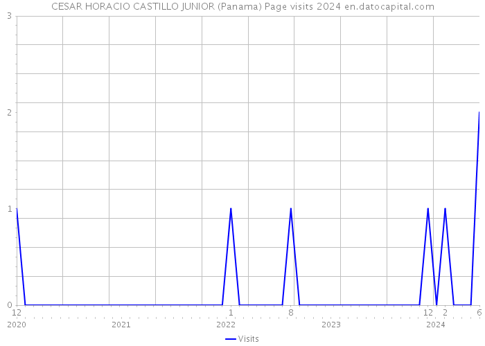 CESAR HORACIO CASTILLO JUNIOR (Panama) Page visits 2024 