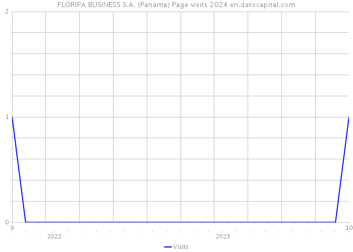 FLORIPA BUSINESS S.A. (Panama) Page visits 2024 