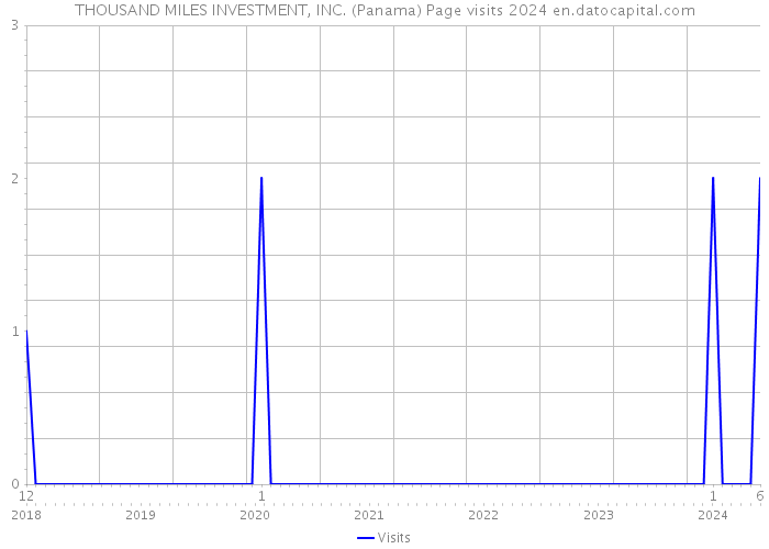 THOUSAND MILES INVESTMENT, INC. (Panama) Page visits 2024 
