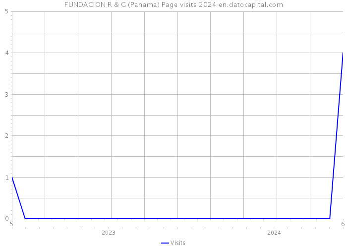 FUNDACION R & G (Panama) Page visits 2024 