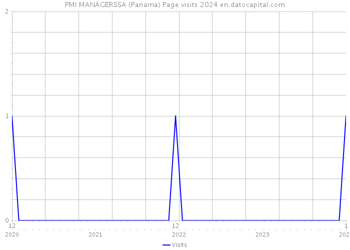 PMI MANAGERSSA (Panama) Page visits 2024 