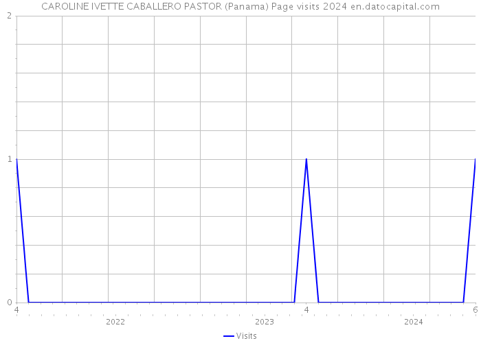 CAROLINE IVETTE CABALLERO PASTOR (Panama) Page visits 2024 