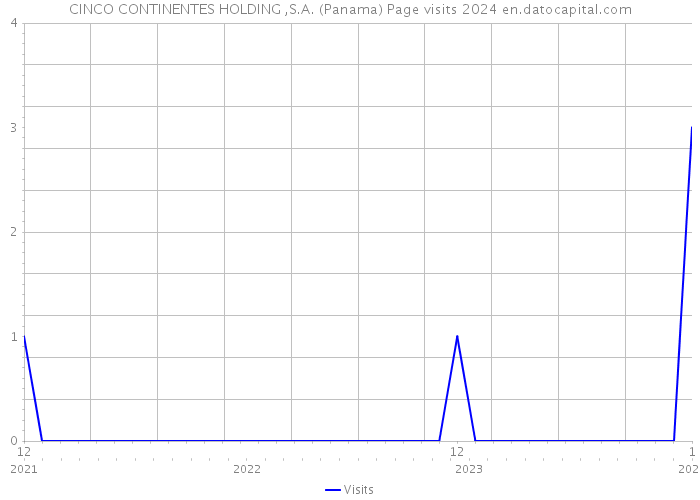 CINCO CONTINENTES HOLDING ,S.A. (Panama) Page visits 2024 