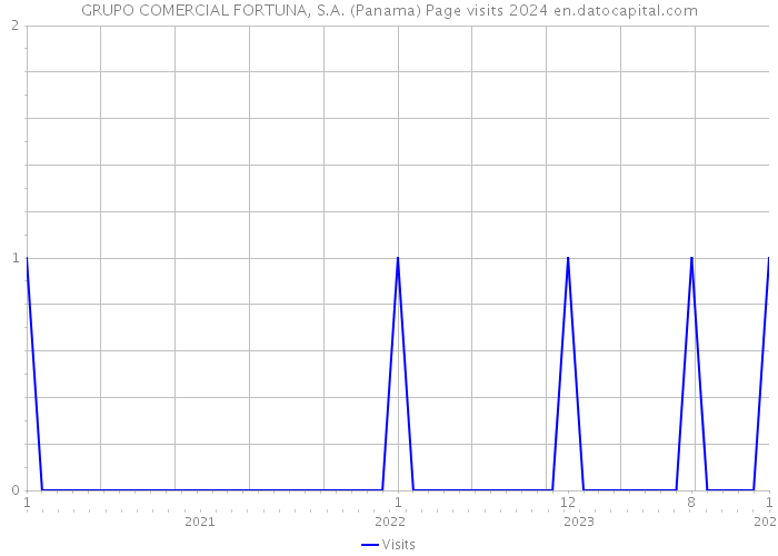 GRUPO COMERCIAL FORTUNA, S.A. (Panama) Page visits 2024 