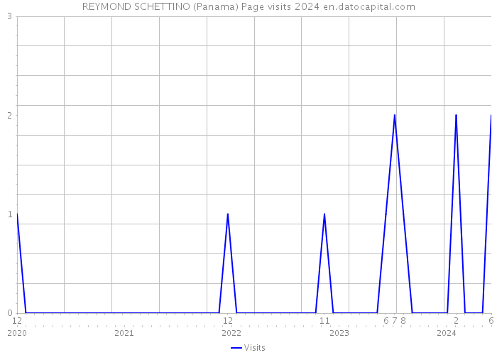 REYMOND SCHETTINO (Panama) Page visits 2024 