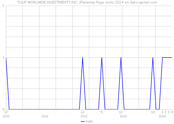 TULIP WORLWIDE INVESTMENTS INC. (Panama) Page visits 2024 