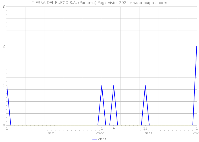 TIERRA DEL FUEGO S.A. (Panama) Page visits 2024 