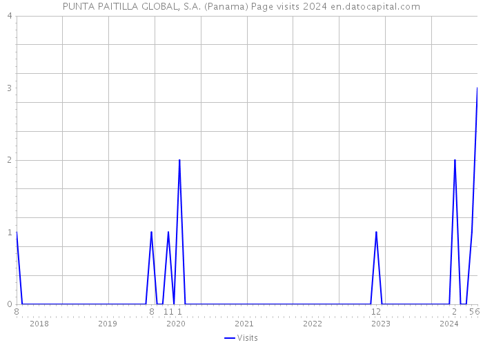 PUNTA PAITILLA GLOBAL, S.A. (Panama) Page visits 2024 