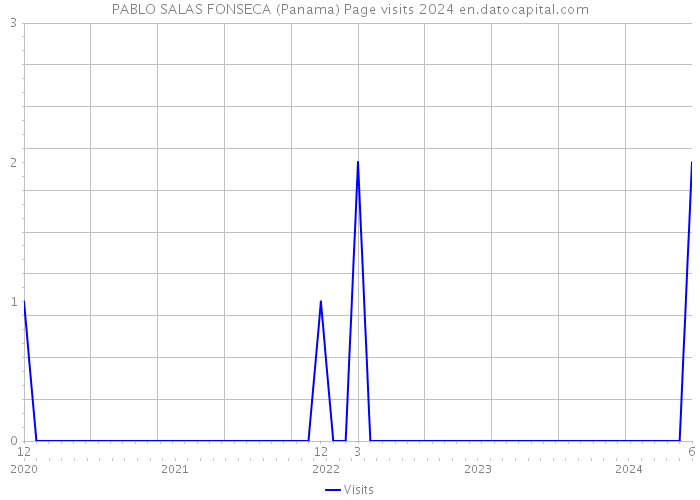 PABLO SALAS FONSECA (Panama) Page visits 2024 