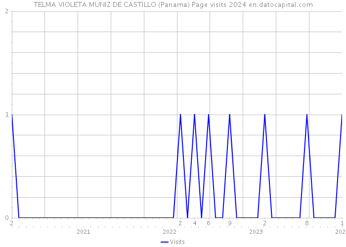 TELMA VIOLETA MUNIZ DE CASTILLO (Panama) Page visits 2024 