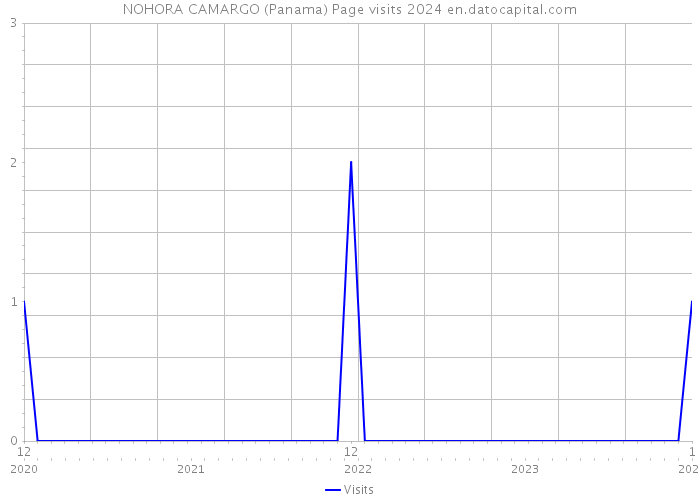 NOHORA CAMARGO (Panama) Page visits 2024 