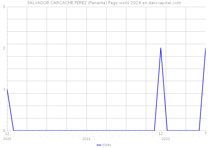 SALVADOR CARCACHE PEREZ (Panama) Page visits 2024 