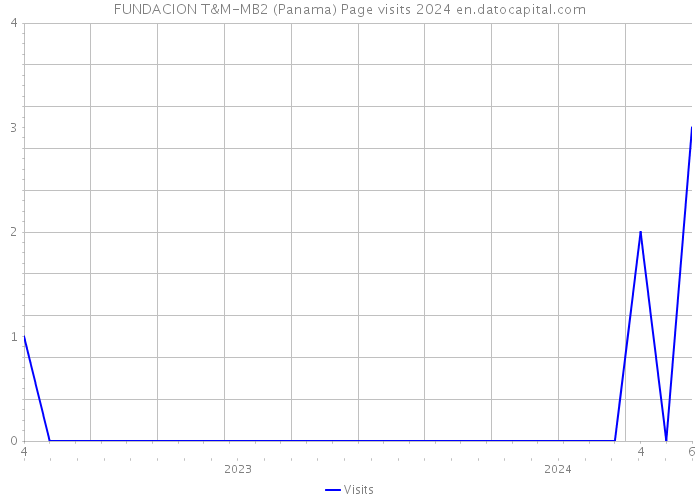 FUNDACION T&M-MB2 (Panama) Page visits 2024 