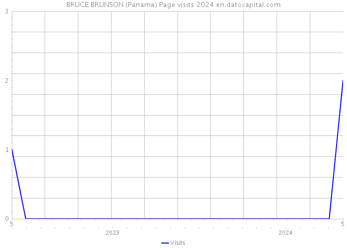 BRUCE BRUNSON (Panama) Page visits 2024 