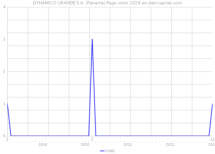 DYNAMICO GRANDE S.A. (Panama) Page visits 2024 