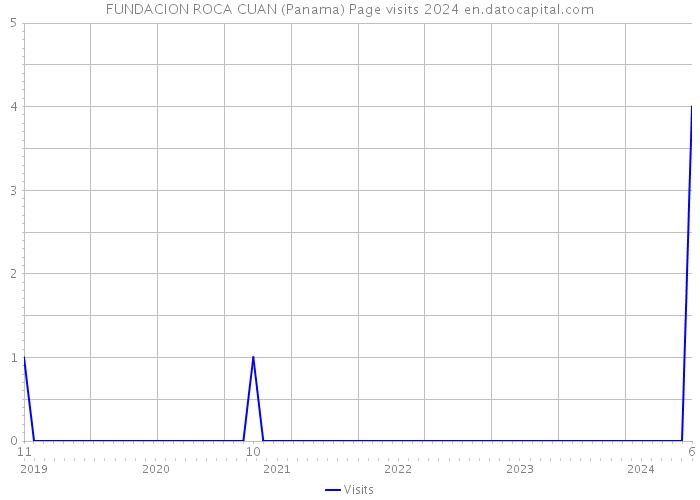 FUNDACION ROCA CUAN (Panama) Page visits 2024 