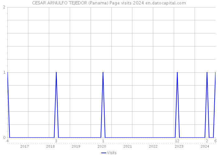 CESAR ARNULFO TEJEDOR (Panama) Page visits 2024 