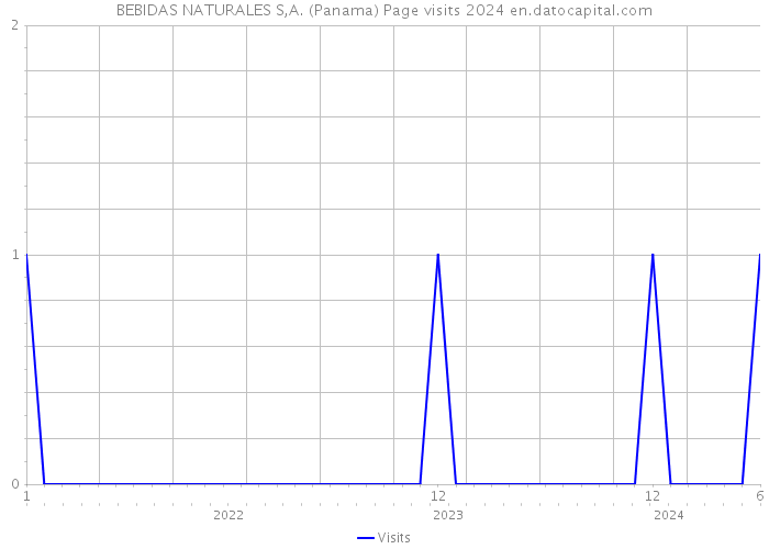 BEBIDAS NATURALES S,A. (Panama) Page visits 2024 