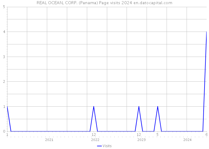 REAL OCEAN, CORP. (Panama) Page visits 2024 