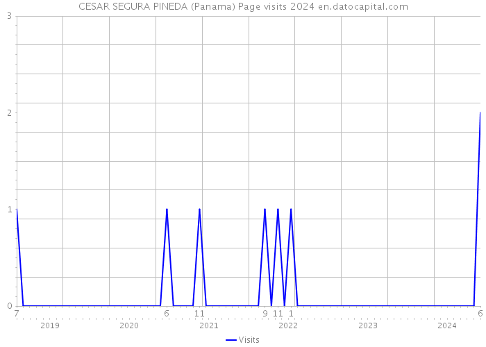 CESAR SEGURA PINEDA (Panama) Page visits 2024 