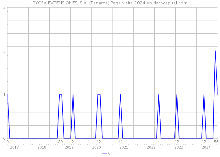 PYCSA EXTENSIONES, S.A. (Panama) Page visits 2024 