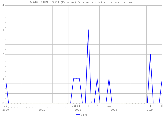 MARCO BRUZZONE (Panama) Page visits 2024 