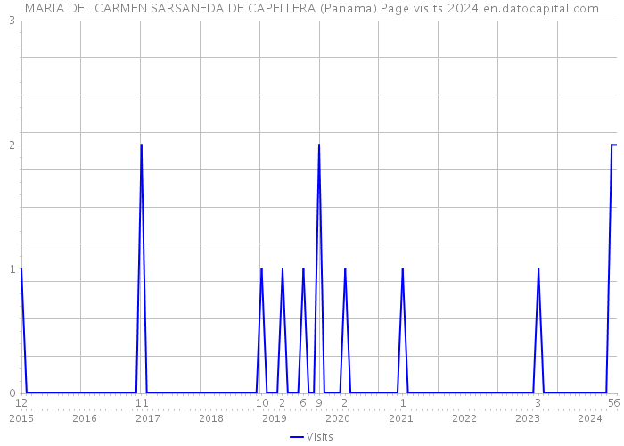 MARIA DEL CARMEN SARSANEDA DE CAPELLERA (Panama) Page visits 2024 