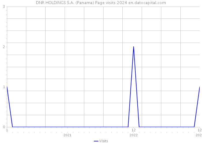 DNR HOLDINGS S.A. (Panama) Page visits 2024 