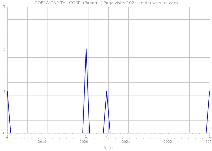 COBRA CAPITAL CORP. (Panama) Page visits 2024 