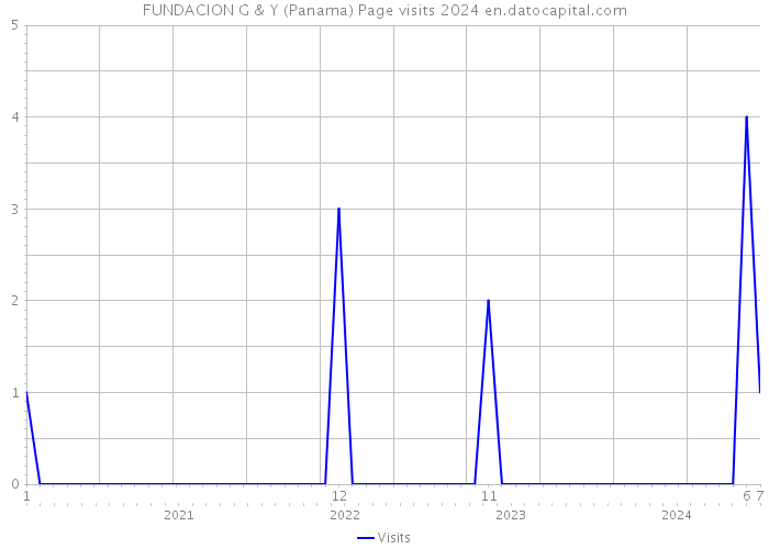 FUNDACION G & Y (Panama) Page visits 2024 