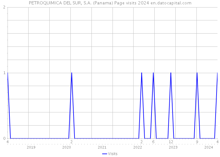 PETROQUIMICA DEL SUR, S.A. (Panama) Page visits 2024 