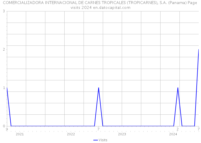 COMERCIALIZADORA INTERNACIONAL DE CARNES TROPICALES (TROPICARNES), S.A. (Panama) Page visits 2024 