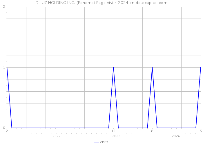 DILUZ HOLDING INC. (Panama) Page visits 2024 