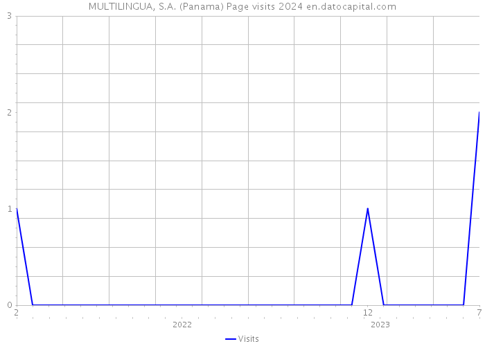 MULTILINGUA, S.A. (Panama) Page visits 2024 