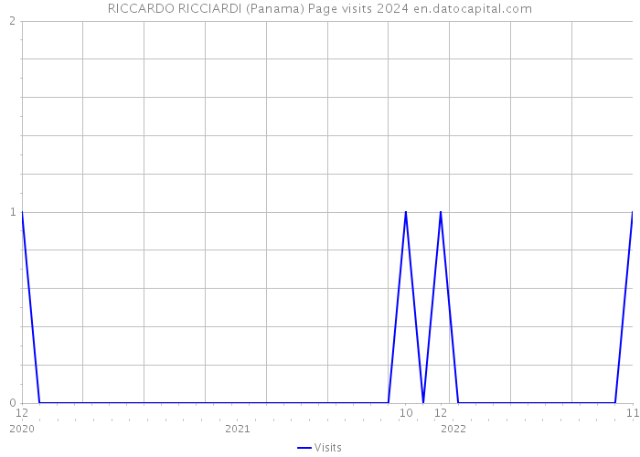 RICCARDO RICCIARDI (Panama) Page visits 2024 
