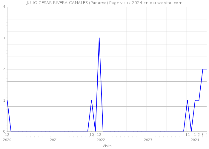 JULIO CESAR RIVERA CANALES (Panama) Page visits 2024 