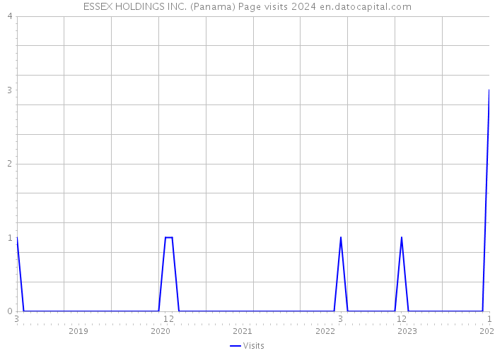ESSEX HOLDINGS INC. (Panama) Page visits 2024 