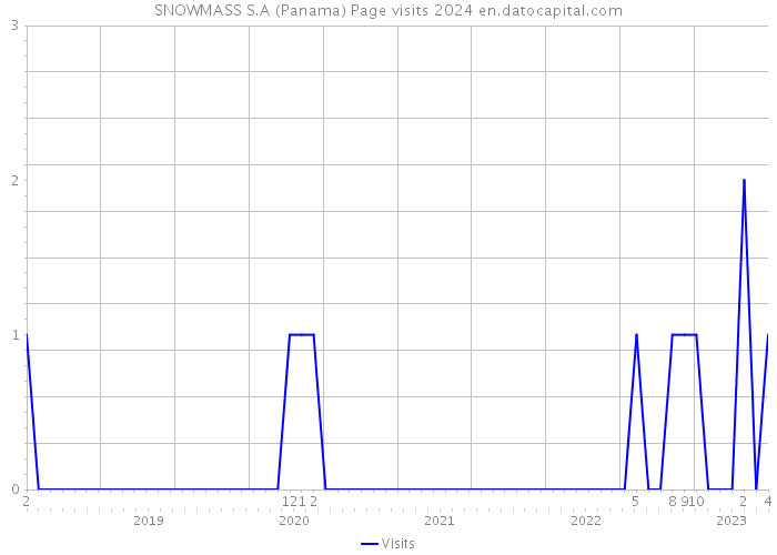 SNOWMASS S.A (Panama) Page visits 2024 