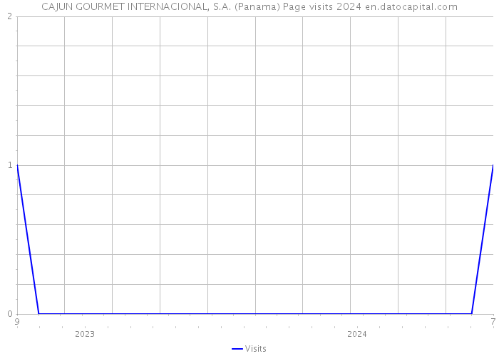 CAJUN GOURMET INTERNACIONAL, S.A. (Panama) Page visits 2024 