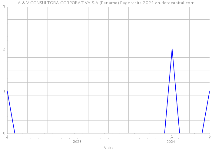 A & V CONSULTORA CORPORATIVA S.A (Panama) Page visits 2024 