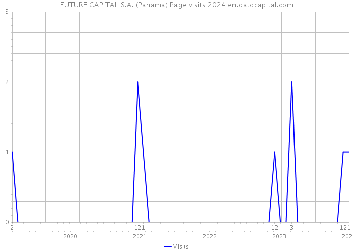 FUTURE CAPITAL S.A. (Panama) Page visits 2024 