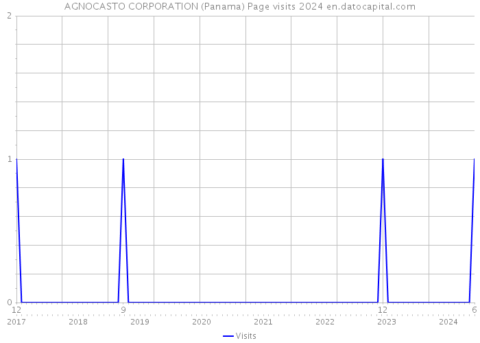 AGNOCASTO CORPORATION (Panama) Page visits 2024 