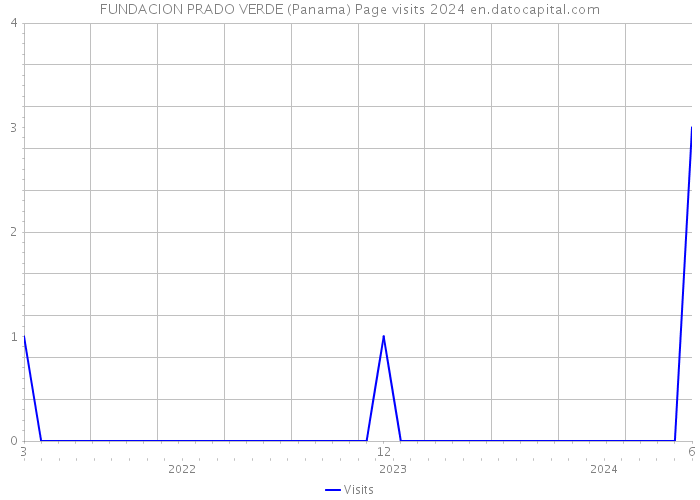 FUNDACION PRADO VERDE (Panama) Page visits 2024 
