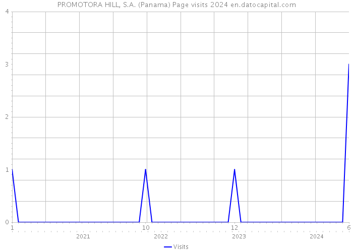 PROMOTORA HILL, S.A. (Panama) Page visits 2024 